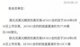 最新外汇期货爆料,爆点解析与趋势展望