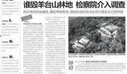 阜宁最新爆料案件新闻报道,惊人真相揭露！